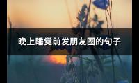 晚上睡觉前发朋友圈的句子(优选73句)【图】