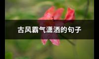 古风霸气潇洒的句子(优选74句)【图】