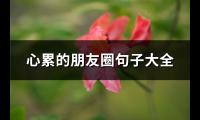 心累的朋友圈句子大全(74句)【图】