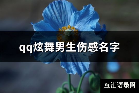 qq炫舞男生伤感名字(精选95个)