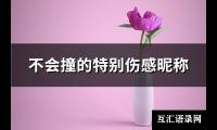 不会撞的特别伤感昵称(85个)