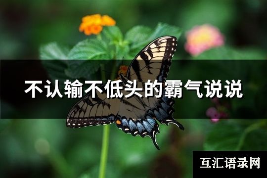 不认输不低头的霸气说说(共93句)