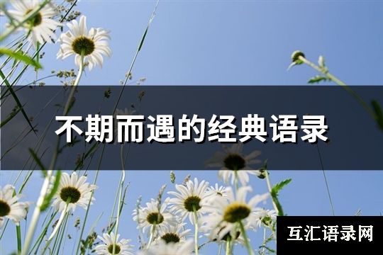 不期而遇的经典语录(共92句)