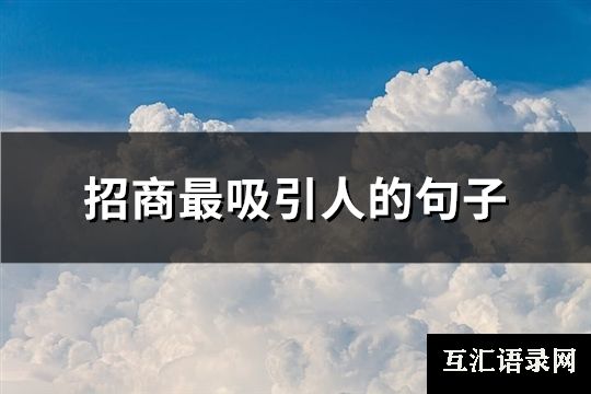 招商最吸引人的句子(共109句)