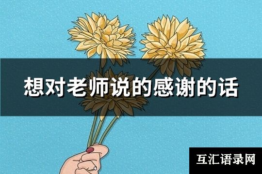 想对老师说的感谢的话(101句)