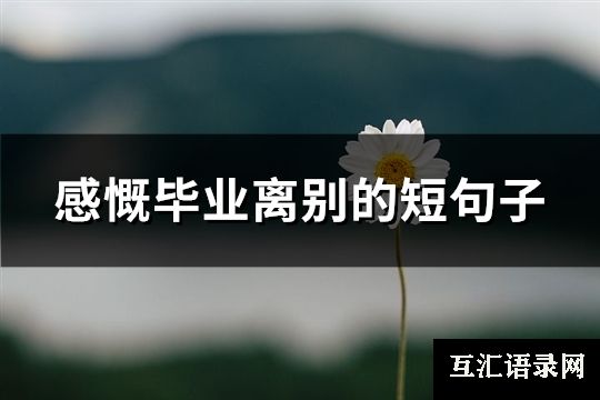 感慨毕业离别的短句子(推荐86句)