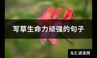 写草生命力顽强的句子(共77句)【图】