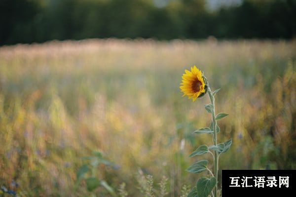 坐着车上看风景的说说 一路沿途看风景的说说句子