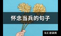 怀念当兵的句子(优选117句)【图】