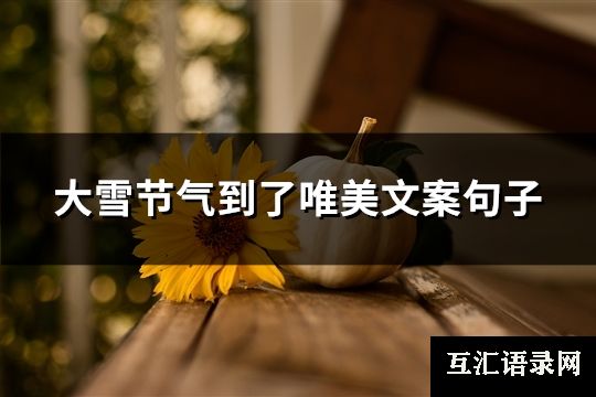 大雪节气到了唯美文案句子(推荐286句)