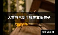 大雪节气到了唯美文案句子(推荐286句)【图】