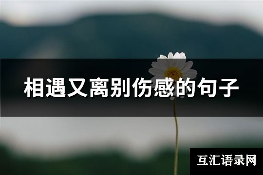 相遇又离别伤感的句子(推荐159句)