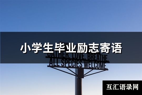 小学生毕业励志寄语(共167句)