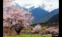 ​林芝海拔多少米介绍（西藏林芝那些值得打卡的景点）