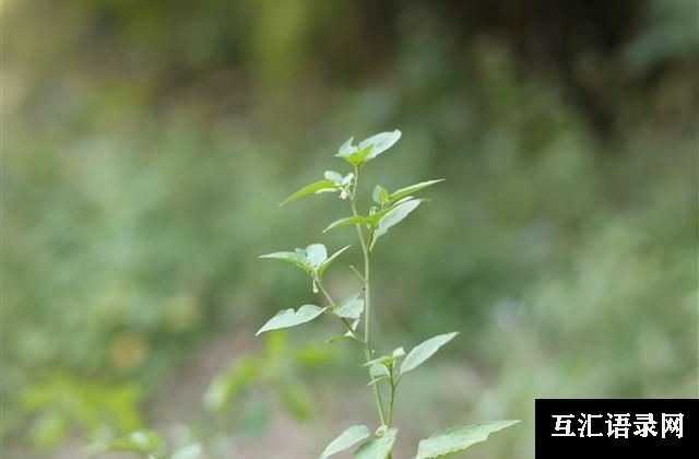 比较受女生喜欢的网名