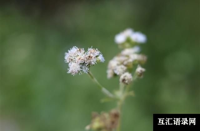 最流行的游戏网名(共91个)