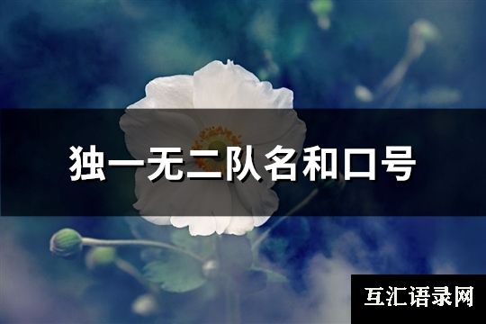 独一无二队名和口号(118句)