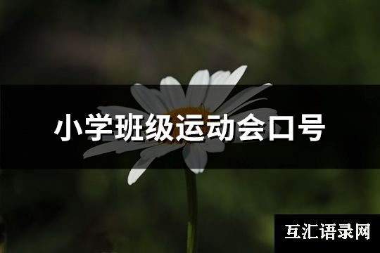 小学班级运动会口号