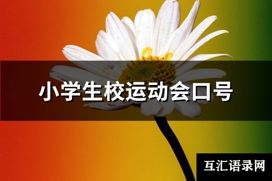 小学生校运动会口号