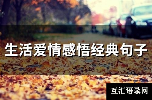 生活爱情感悟经典句子 有关感情走心的句子