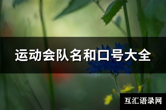 运动会队名和口号大全