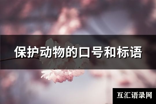 保护动物的口号和标语(实用97句)