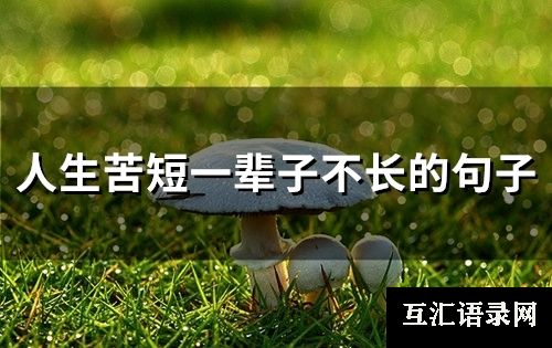 人生苦短一辈子不长的句子(精选27句)