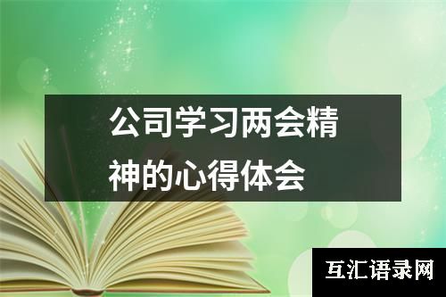 公司学习两会精神的心得体会