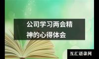 公司学习两会精神的心得体会