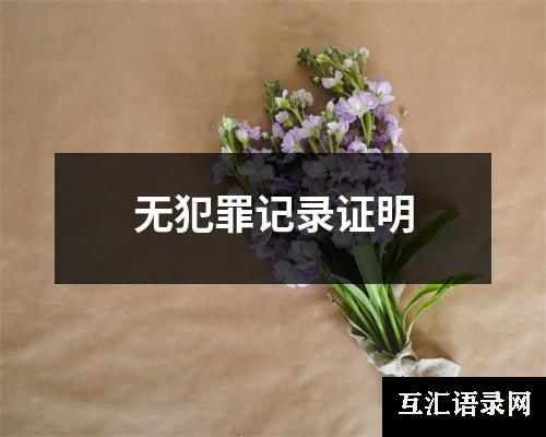 无犯罪记录证明