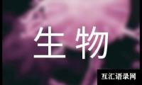 高中生物教学总结优选