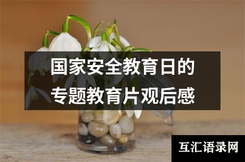 国家安全教育日的专题教育片观后感