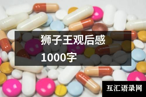 狮子王观后感1000字