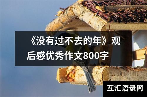 《没有过不去的年》观后感优秀作文800字