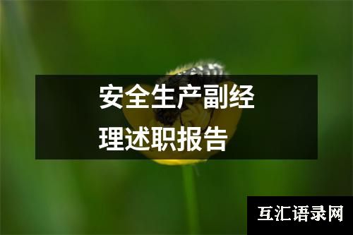 安全生产副经理述职报告