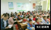 综合实践教学总结