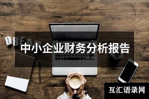 中小企业财务分析报告