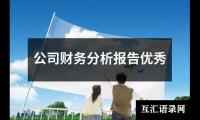 公司财务分析报告优选