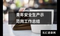 青年安全生产示范岗工作总结