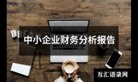 中小企业财务分析报告