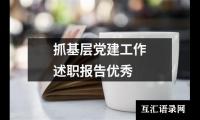 抓基层党建工作述职报告优选