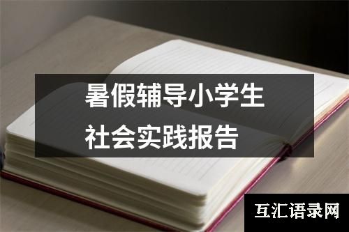 暑假辅导小学生社会实践报告