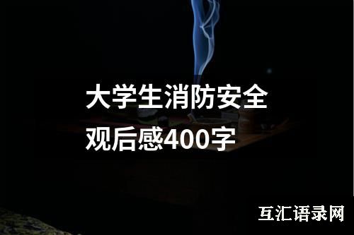 大学生消防安全观后感400字