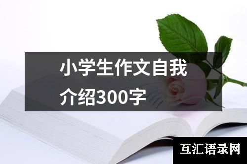 小学生作文自我介绍300字