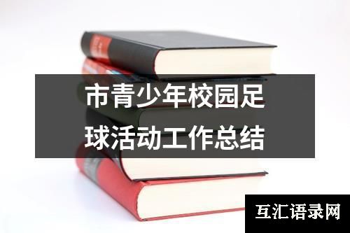 市青少年校园足球活动工作总结