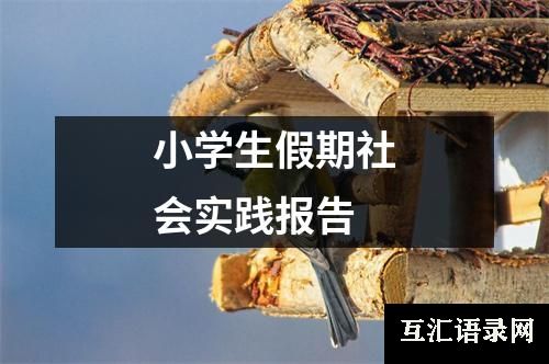 小学生假期社会实践报告