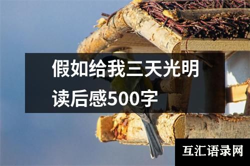 假如给我三天光明读后感500字