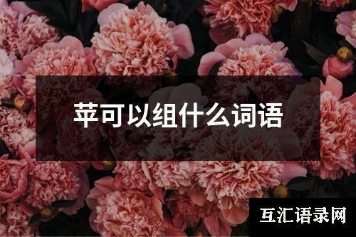 苹可以组什么词语