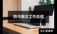 防汛救灾工作总结