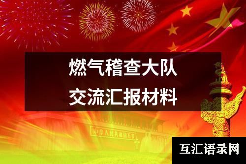 燃气稽查大队交流汇报材料